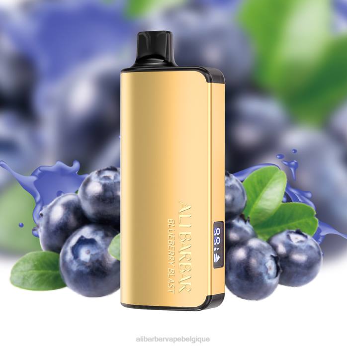 Alibarbar Vape Belgique explosion de myrtilles - Alibarbar Ingot 9000 vapes jetables PD4415