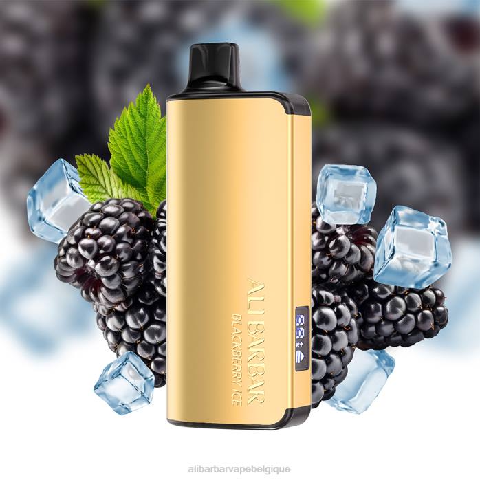 Alibarbar Vape Belgique explosion de myrtilles - Alibarbar Ingot 9000 vapes jetables PD4415