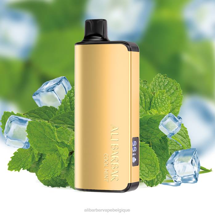 menthe fraîche