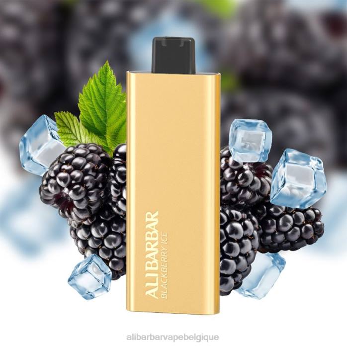 Alibarbar Price glace aux mûres - Alibarbar Pandora 7000 vapes jetables PD4468